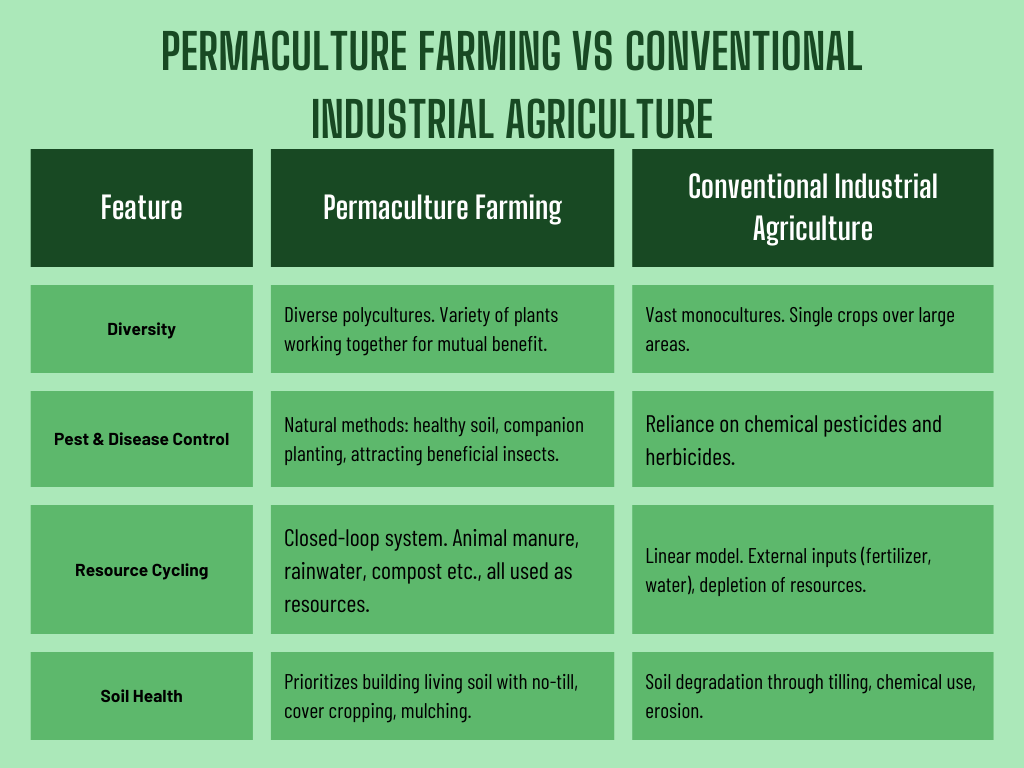 Permaculture Farming Vs Conventional Industrial Agriculture - RevSoft